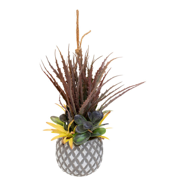 Buy Hanging Succulents in Lattice Design Small Grey Pot | NoWaterNeeded