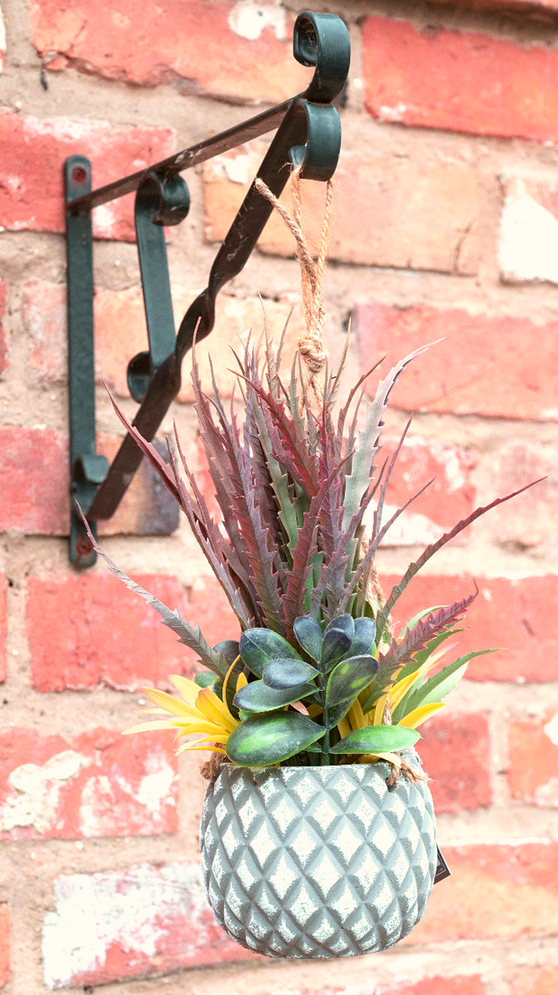 Buy Hanging Succulents in Lattice Design Small Grey Pot | NoWaterNeeded