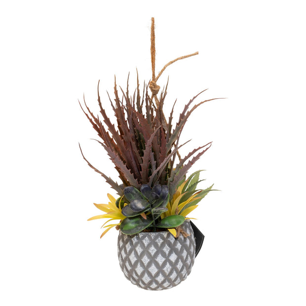 Buy Hanging Succulents in Lattice Design Small Grey Pot | NoWaterNeeded