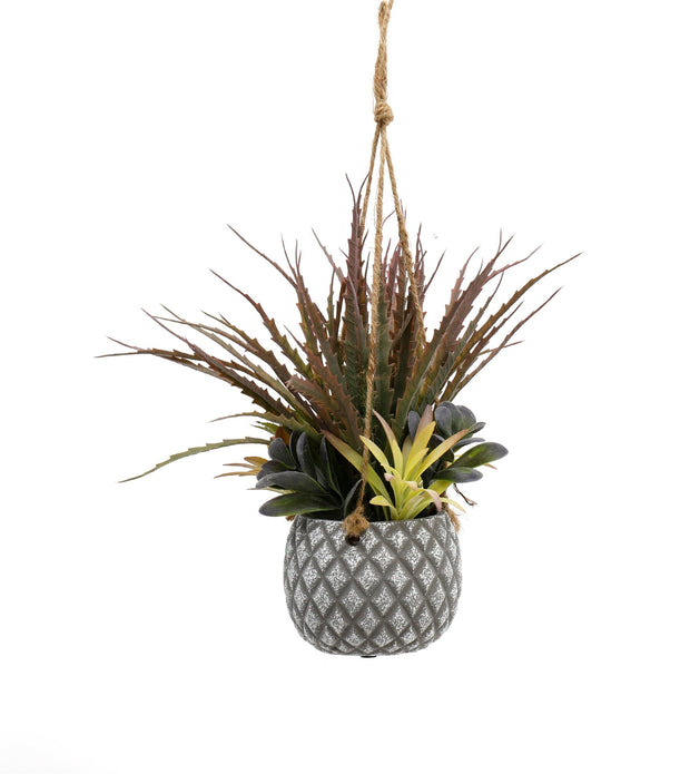 Buy Hanging Succulents in Lattice Design Small Grey Pot | NoWaterNeeded