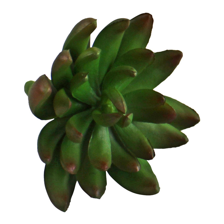 Buy Artificial Small Succulent Pick, 11cm | NoWaterNeeded