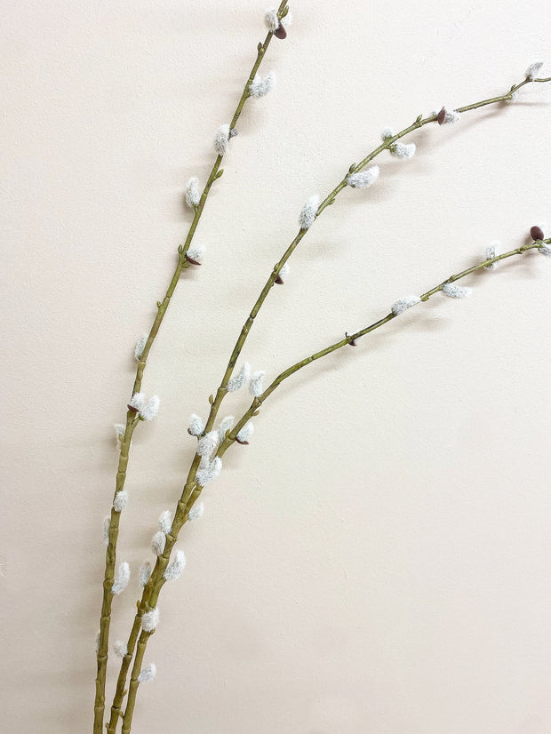 Buy Pussy Willow Stem | NoWaterNeeded