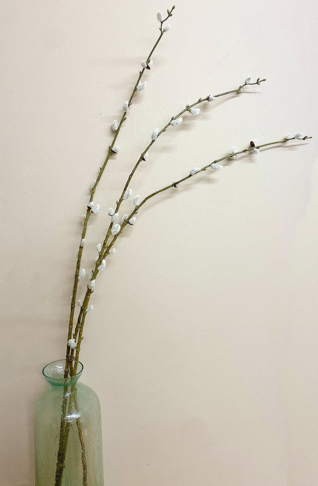 Buy Pussy Willow Stem | NoWaterNeeded